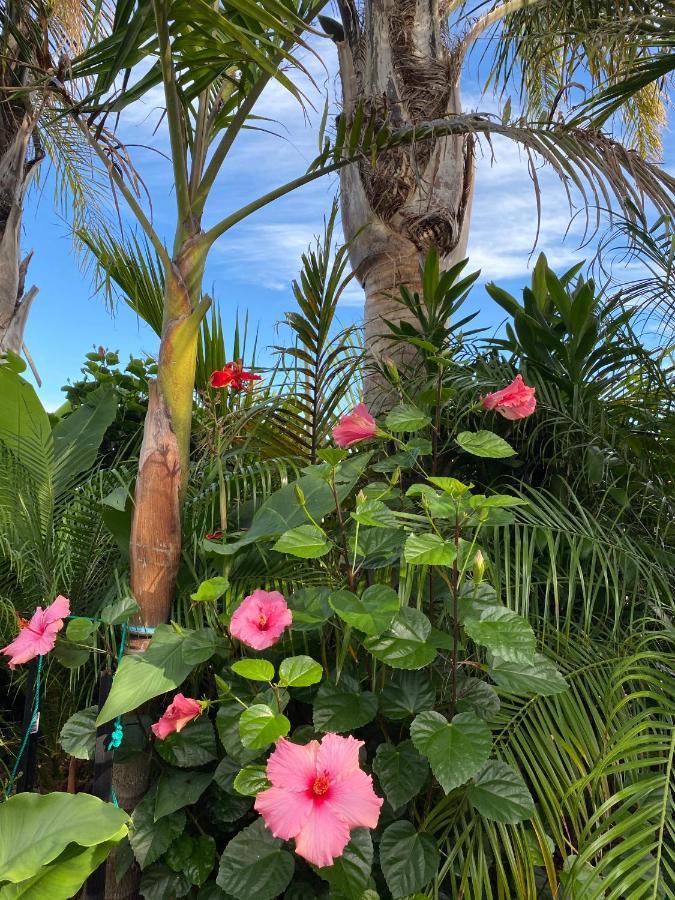 Palm Garden Papamoa Beach Paradise المظهر الخارجي الصورة